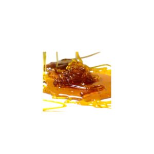 Extracción Rosin CBD