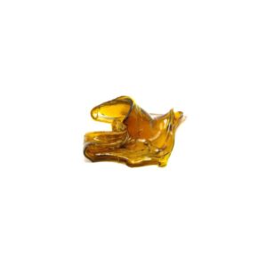 Extracción Shatter CBD