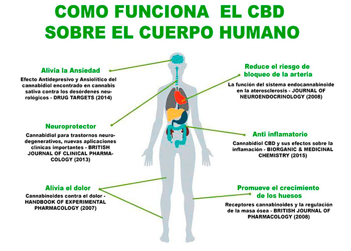 Usos terapéuticos del CBD