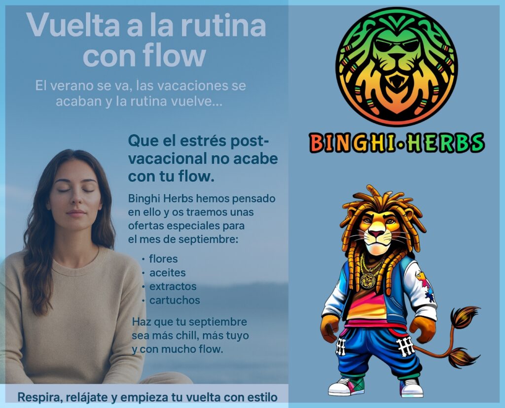 Promoción (1335 x 1080 px) (1335 x 1080 px)_20250901_113950_0000
